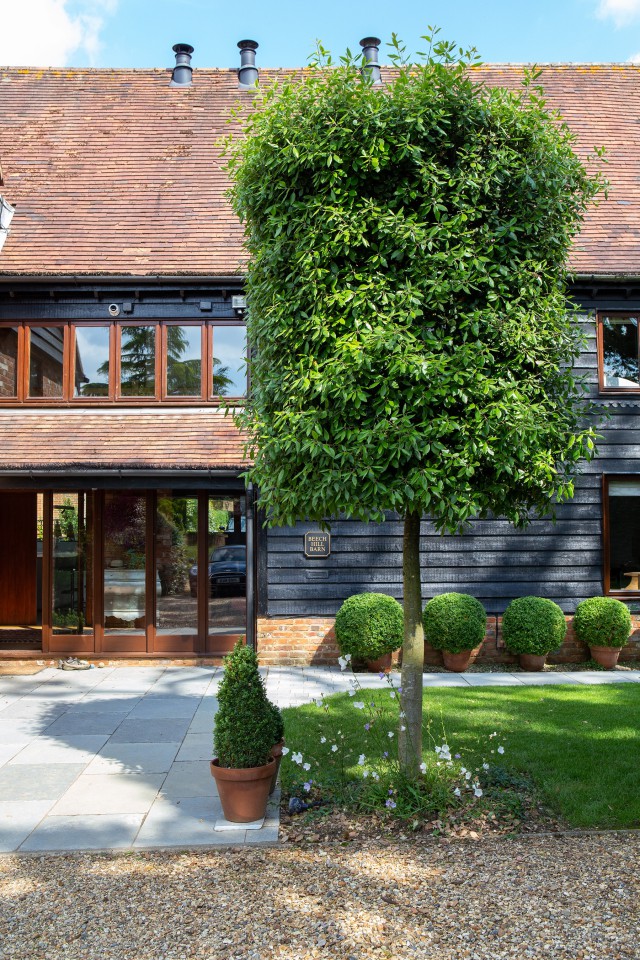 FineLineArch BeechHillEllieWalpole HR 309