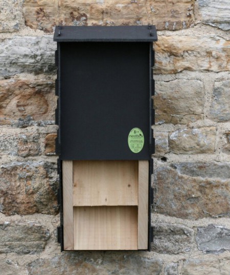Bat Box