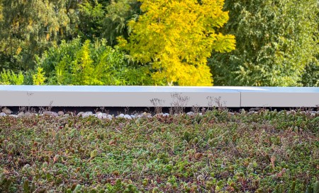 Herringbone+House+ +Sedum+Roof v2